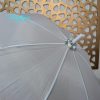 Customised Umbrella
